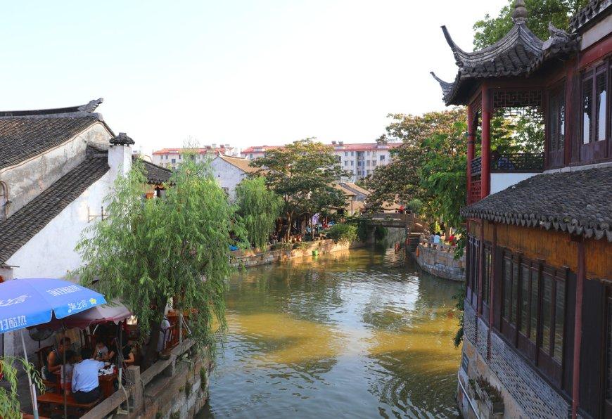 贝拓启明:宠物干细胞银行是什么?